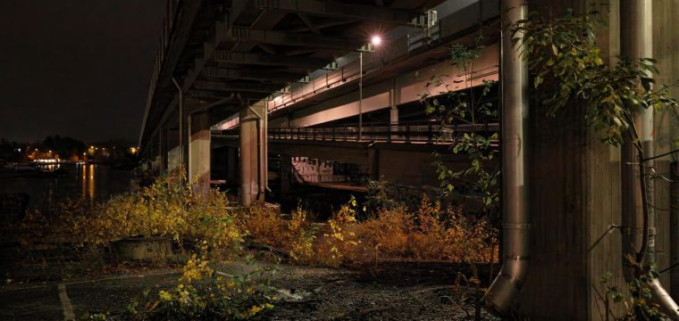 Kuva: Matti Snellman